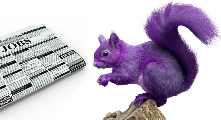 A new study finds discouraging “purple squirrel” hiring practices is key to meeting Wisconsin’s workforce and civic needs.