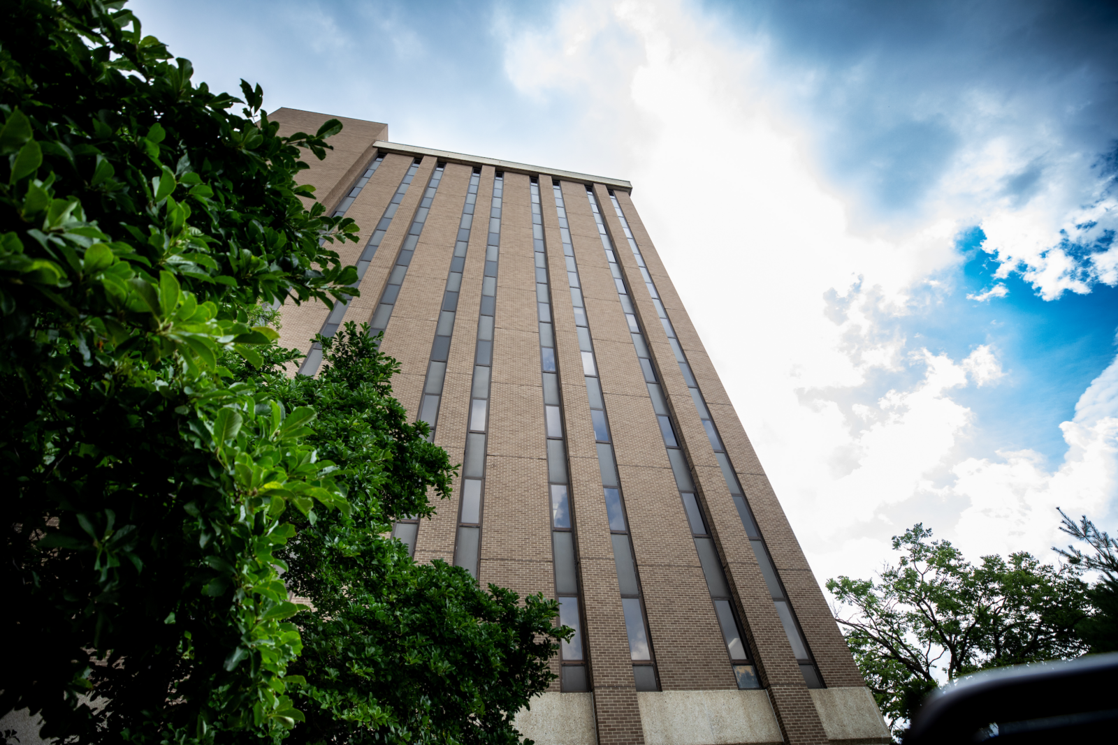 A view of the Ed Sciences tower with a blue sky in the background and a tree in the foreground.